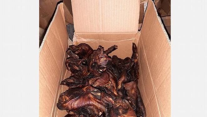 Alemania incauta murciélagos cocinados cerca de Bélgica