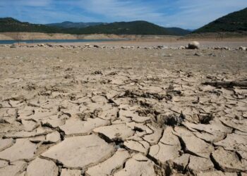 FAO advierte de la posibles sequías en América ante la llegada de El Niño