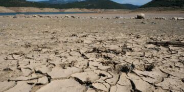 FAO advierte de la posibles sequías en América ante la llegada de El Niño