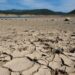 FAO advierte de la posibles sequías en América ante la llegada de El Niño