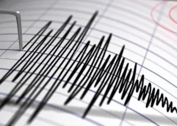 Terremoto de magnitud 7,3 sacudió el norte de Nueva Zelanda