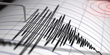 Terremoto de magnitud 7,3 sacudió el norte de Nueva Zelanda