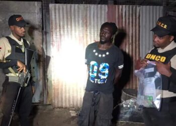 La Armada Dominicana y la DNCD confiscan drogas y apresa cinco haitianos