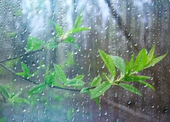 Incidencia de una vaguada para este fin de semana