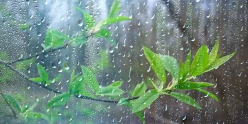 Incidencia de una vaguada para este fin de semana