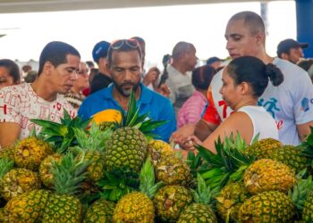 Más de 90 mil personas de se abastecen de alimentos en ferias “Inespre Está de Madre”