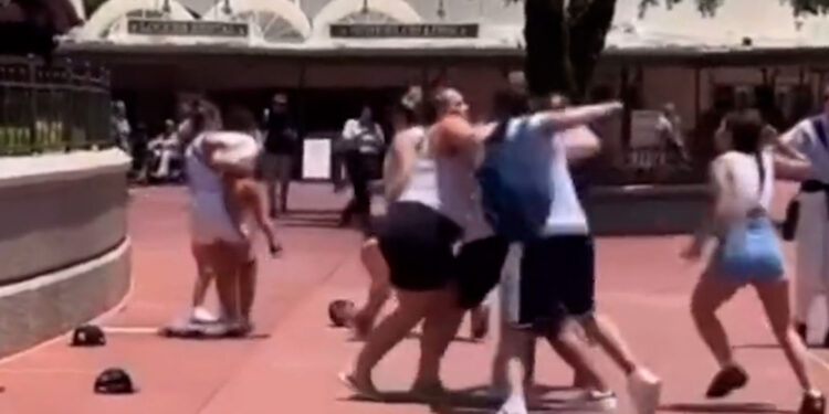 Dos familias se pelearon a golpes de puño en pleno parque de Disney por una foto