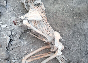 Nuevos hallazgos de restos humanos en Pompeya confirman una teoría: No sólo la lava del Vesubio mató a sus habitantes