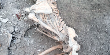 Nuevos hallazgos de restos humanos en Pompeya confirman una teoría: No sólo la lava del Vesubio mató a sus habitantes