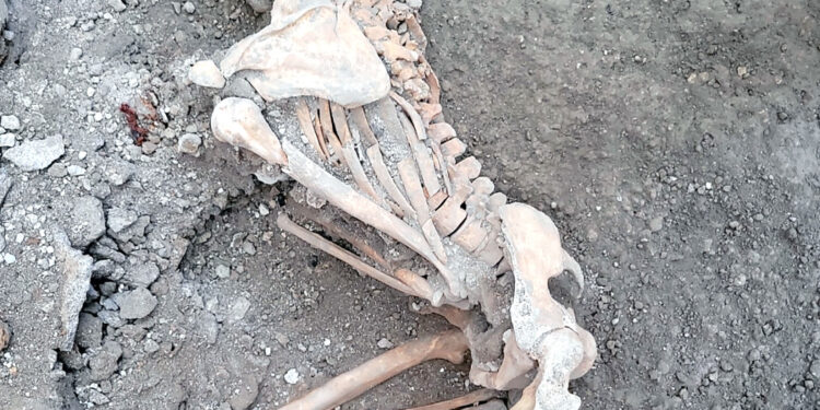 Nuevos hallazgos de restos humanos en Pompeya confirman una teoría: No sólo la lava del Vesubio mató a sus habitantes