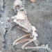 Nuevos hallazgos de restos humanos en Pompeya confirman una teoría: No sólo la lava del Vesubio mató a sus habitantes