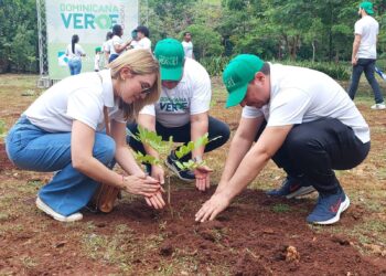 Dominicana de Seguros realiza jornada de reforestación