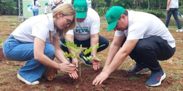 Dominicana de Seguros realiza jornada de reforestación