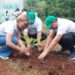 Dominicana de Seguros realiza jornada de reforestación