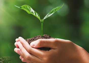 Premio al Periodismo ambiental anuncia prórroga hasta el 30 de mayo para someter proyectos