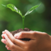 Premio al Periodismo ambiental anuncia prórroga hasta el 30 de mayo para someter proyectos