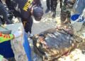 P.N detiene dos personas por caso de cuerpo hallado sin vida dentro de una maleta en la Vega