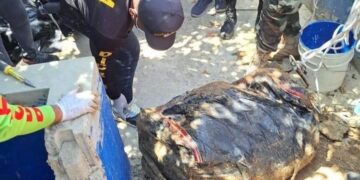 P.N detiene dos personas por caso de cuerpo hallado sin vida dentro de una maleta en la Vega