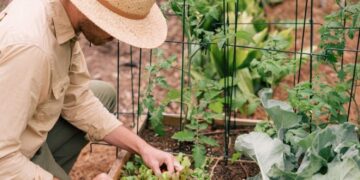 12 de mayo, día del agricultor