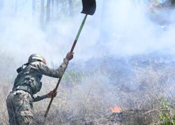 Ejército capacita soldados para combatir incendios forestales