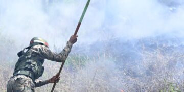 Ejército capacita soldados para combatir incendios forestales