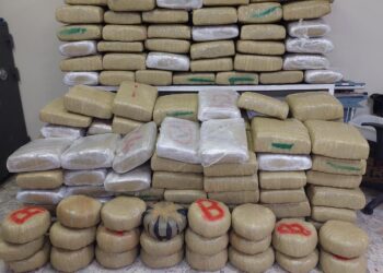 Cargamento de marihuana ocupado en pedernales tuvo peso de 1,955 libras