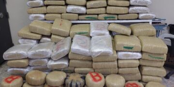 Cargamento de marihuana ocupado en pedernales tuvo peso de 1,955 libras