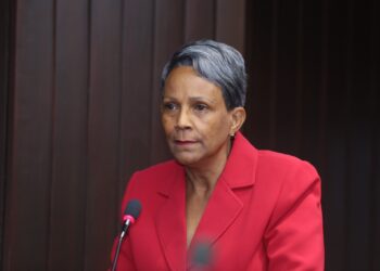 Diputada Peravia clama ir en auxilio de las Dunas y los ríos Nizao y Baní