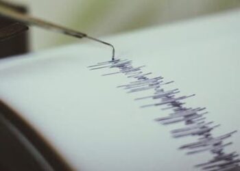 Terremoto de magnitud 7,1 sacude las aguas de Nueva Celedonia, en el Pacífico Sur