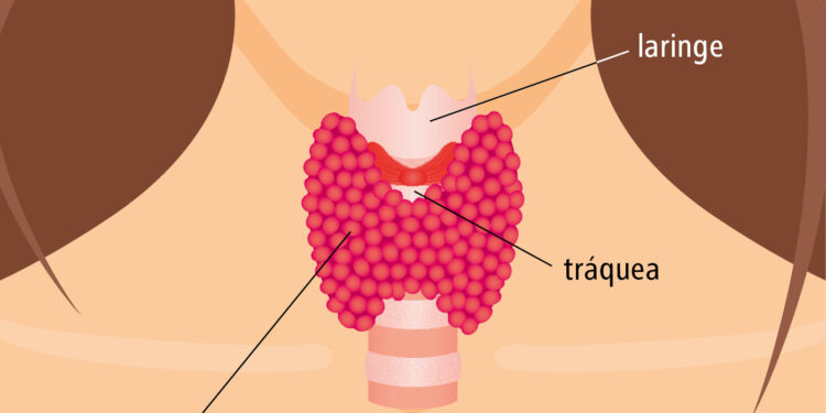 25 de mayo, Día Mundial de la Tiroides