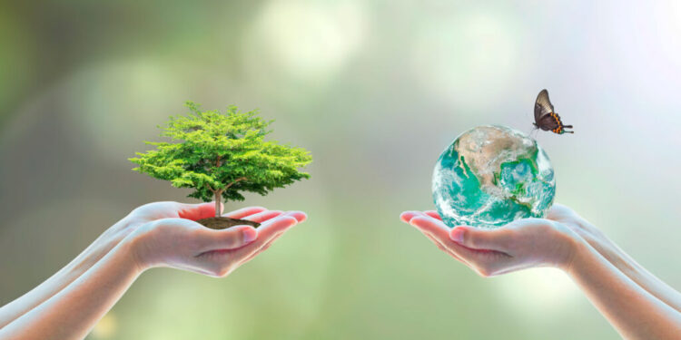 5 de junio: Día Mundial del Medio Ambiente