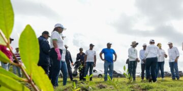 Recursos Costeros y Marinos celebra Día de los Océanos con reforestación del manglar y limpieza en la zona arrecifal de San Cristóbal