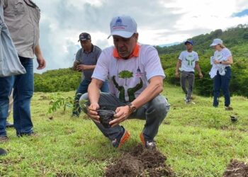 Agricultura siembra más de mil plantas en San Cristóbal