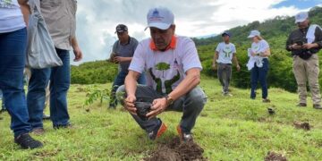 Agricultura siembra más de mil plantas en San Cristóbal