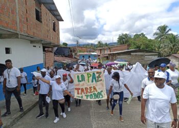 Aumenta el rechazo a la dictadura de Cuba: se registraron casi 400 protestas en mayo