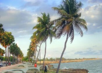 Temperaturas calurosas y escasas precipitaciones