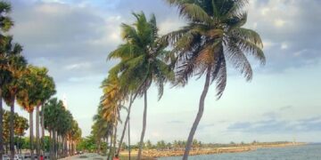 Temperaturas calurosas y escasas precipitaciones