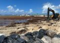 Zorrilla Ozuna pide declarar en emergencia playa Boca Chica por Sargazo