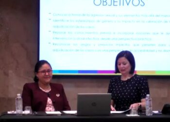 Magistrada de corte apelación sostiene jueces deben jugar rol activo en perspectiva de género