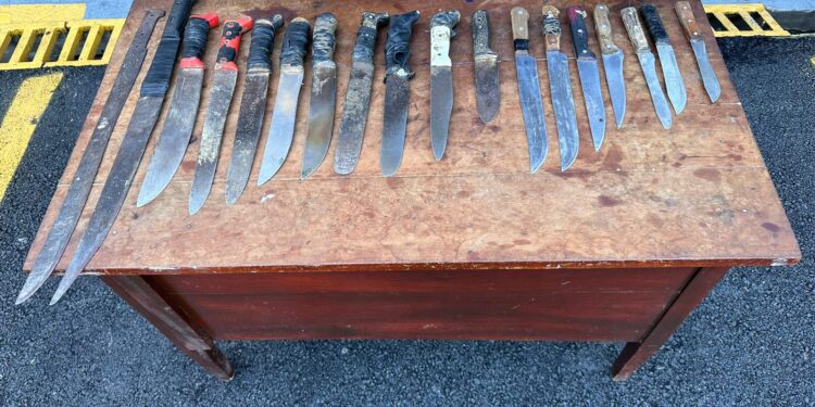 Incautan decenas de machetes y cuchillos a haitianos en Constanza