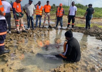 Rescatan Manatí a orilla de la playa Bufeadero en SPM
