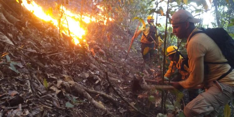 Bomberos forestales trabajan para terminar de extinguir el incendio registrado en Saltos de Jima