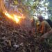 Bomberos forestales trabajan para terminar de extinguir el incendio registrado en Saltos de Jima