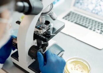 Siete muertos en EE.UU. por brote de meningitis fúngica relacionada con clínicas en México