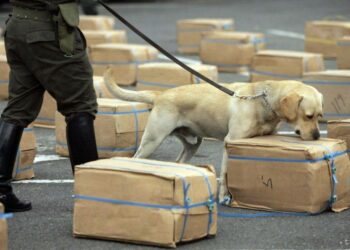 26 de junio: Día Internacional de la Lucha contra el Uso Indebido y el Tráfico Ilícito de Drogas