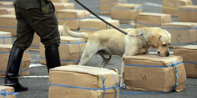 26 de junio: Día Internacional de la Lucha contra el Uso Indebido y el Tráfico Ilícito de Drogas