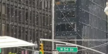 Enjambre de abejas invade Times Square en NY