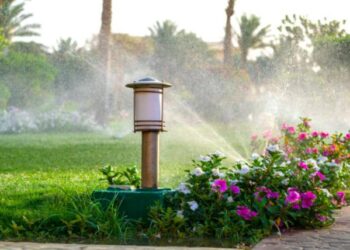 Vivir cerca de espacios verdes retrasa el envejecimiento y nos hace 2,5 años más jóvenes