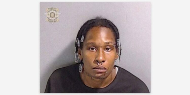 Mujer dispara a su hijo tras una discusión por una consola de videojuegos en EE.UU.