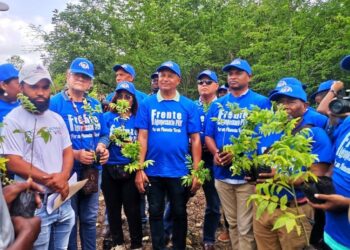 Frente Agropecuario del PRM realiza jornada de reforestación en el Establo de San Luis